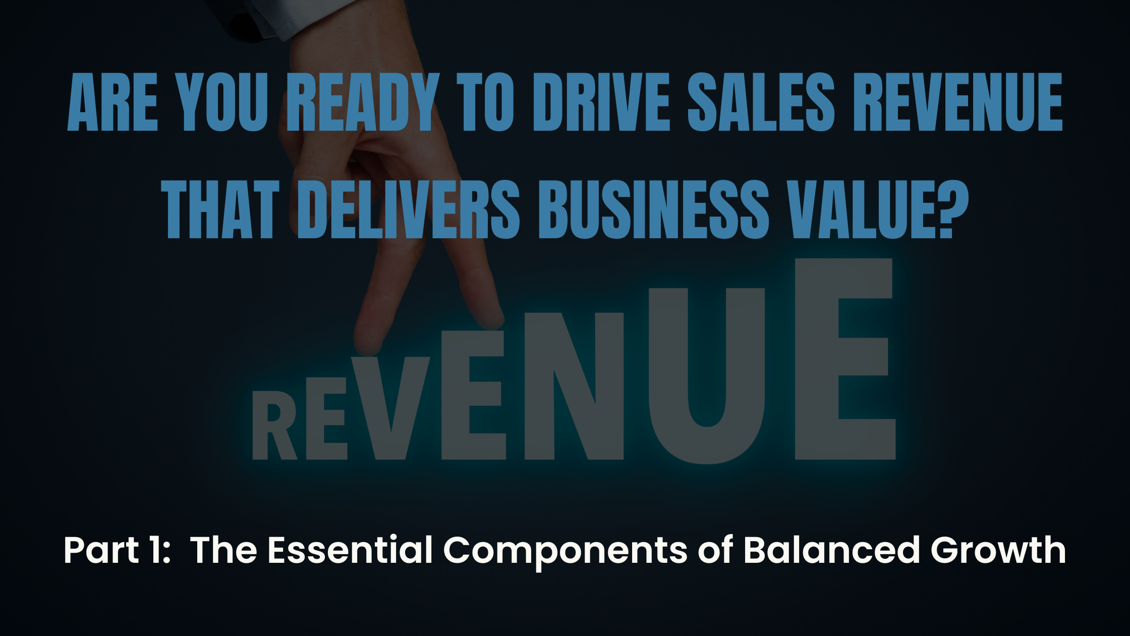 How to Drive Sales Revenue that Delivers Business Value - Part 1: The Essential Components of Balanced Growth | Rizolve Partners blog